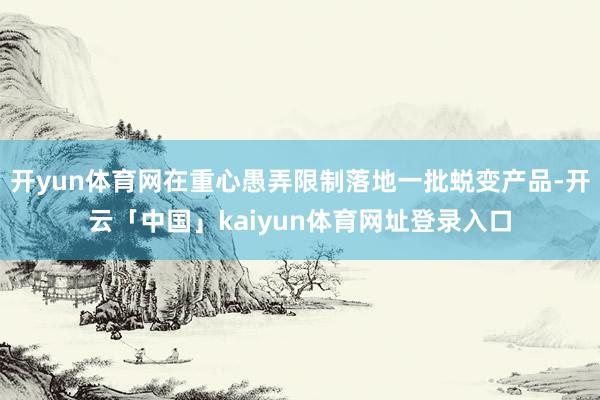 开yun体育网在重心愚弄限制落地一批蜕变产品-开云「中国」kaiyun体育网址登录入口