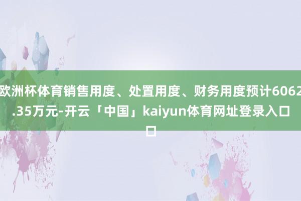 欧洲杯体育销售用度、处置用度、财务用度预计6062.35万元-开云「中国」kaiyun体育网址登录入口