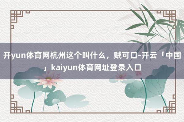 开yun体育网杭州这个叫什么，贼可口-开云「中国」kaiyun体育网址登录入口