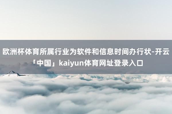 欧洲杯体育所属行业为软件和信息时间办行状-开云「中国」kaiyun体育网址登录入口