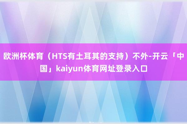 欧洲杯体育（HTS有土耳其的支持）不外-开云「中国」kaiyun体育网址登录入口