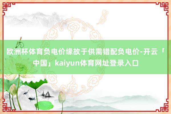 欧洲杯体育　　负电价缘故于供需错配　　负电价-开云「中国」kaiyun体育网址登录入口